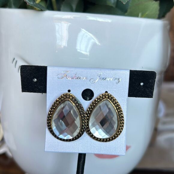 Fashion Jewelry Oval size earrings nickel free NWT with dust bag - Picture 1 of 6